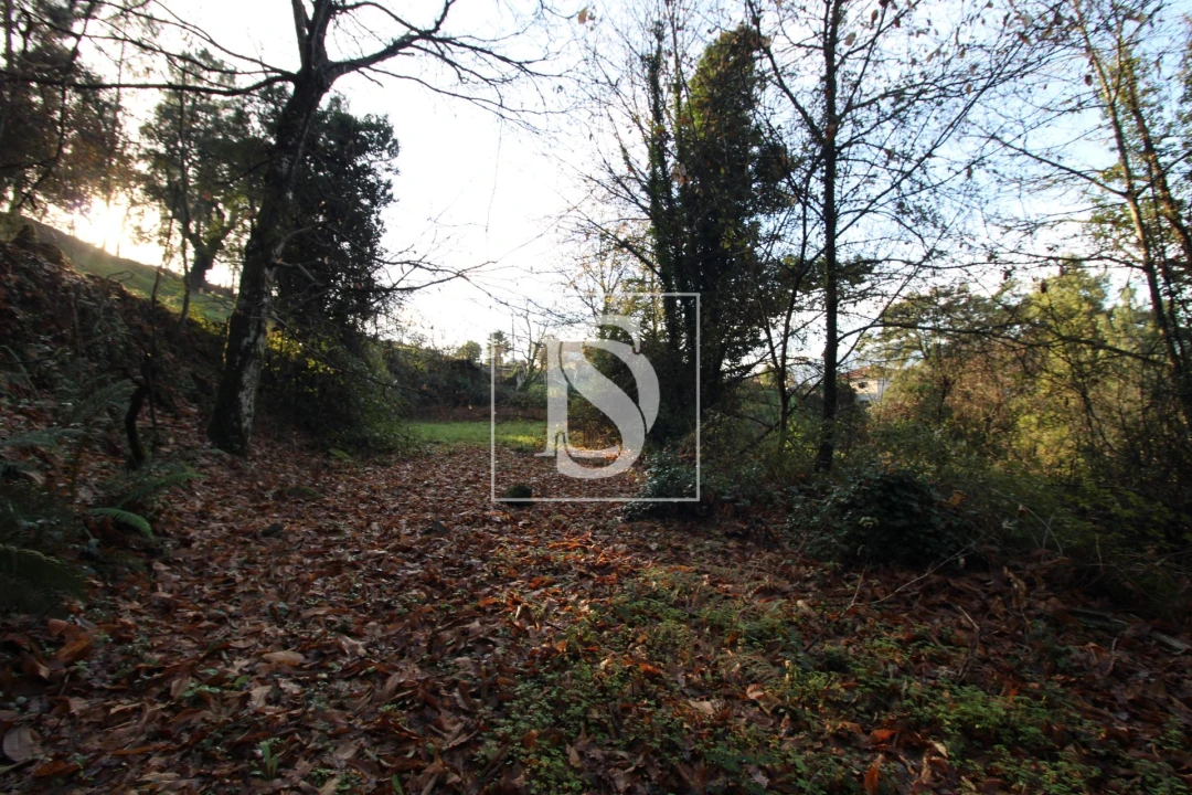 Terreno para Venda em Rebordelo Foto 3