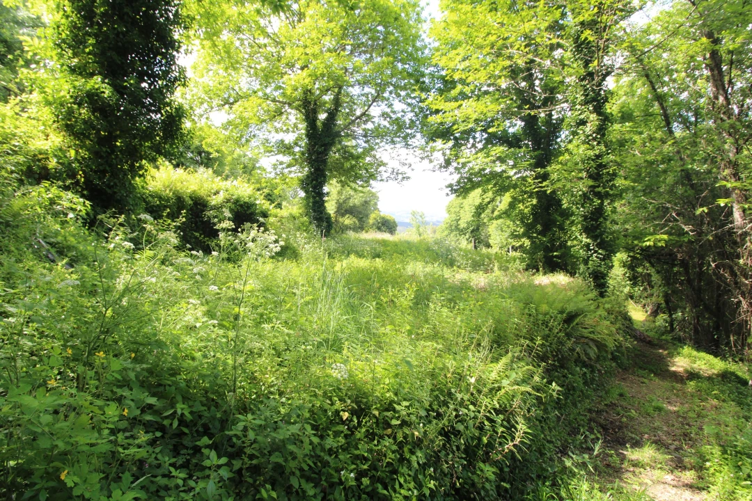 Moradia T2 para Venda em Rebordelo Foto 17