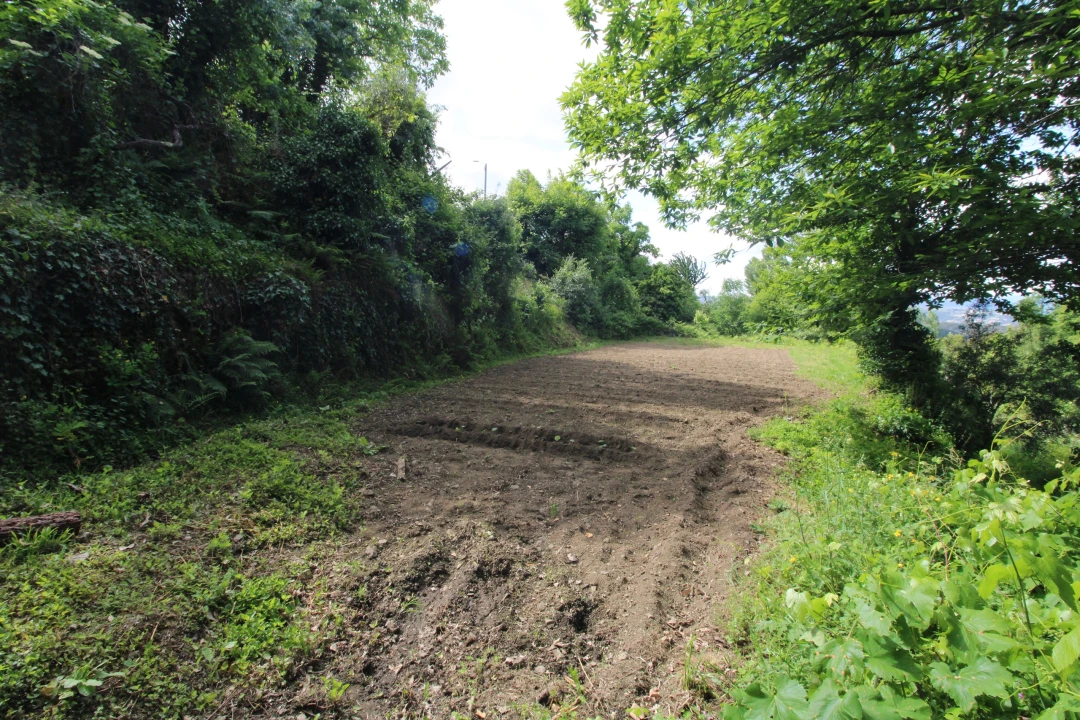 Moradia T2 para Venda em Rebordelo Foto 19