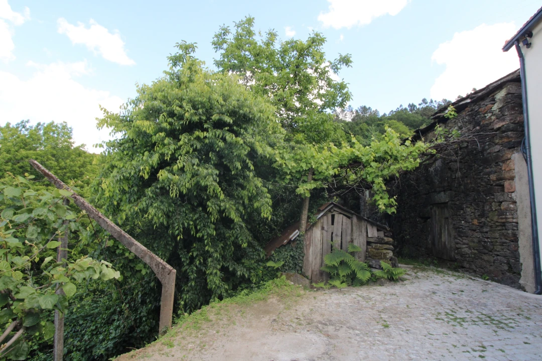 Moradia T2 para Venda em Rebordelo Foto 6