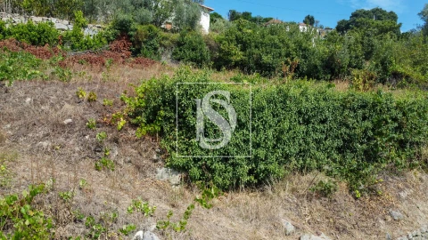 Terreno para Venda em Ancede e Ribadouro