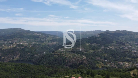 Terreno para Venda em Ancede e Ribadouro