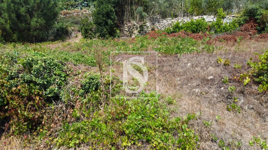 Terreno para Venda em Ancede e Ribadouro Foto 19