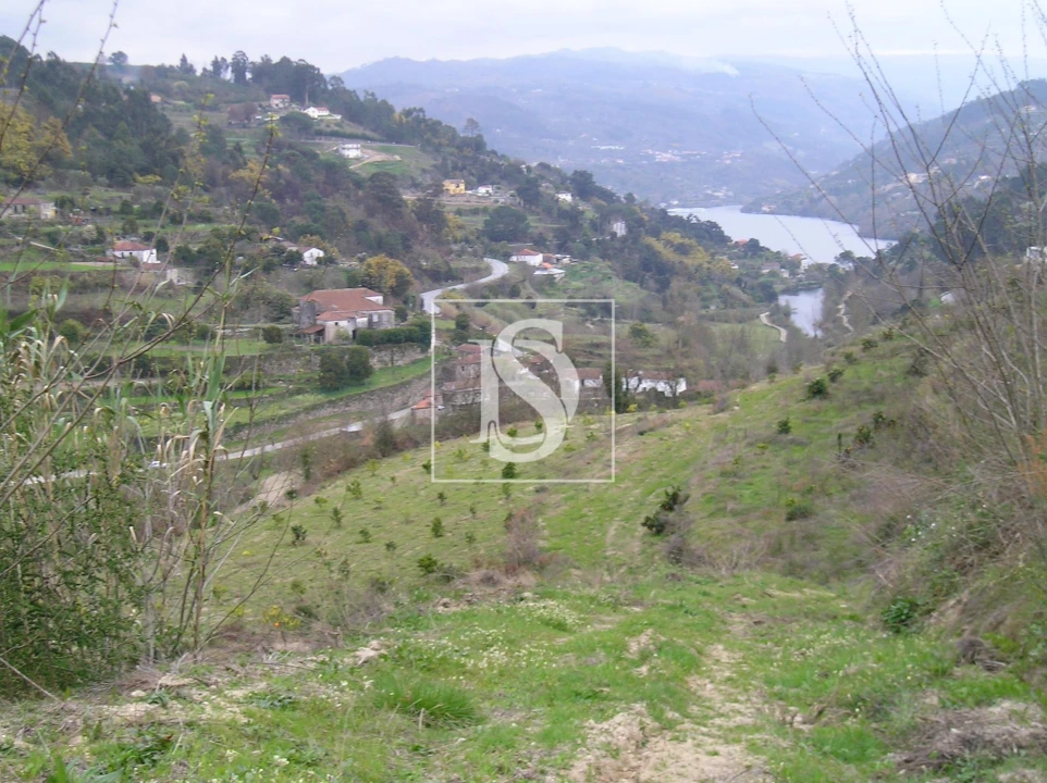 Terreno para Venda em Penhalonga e Paços de Gaiolo Foto 2