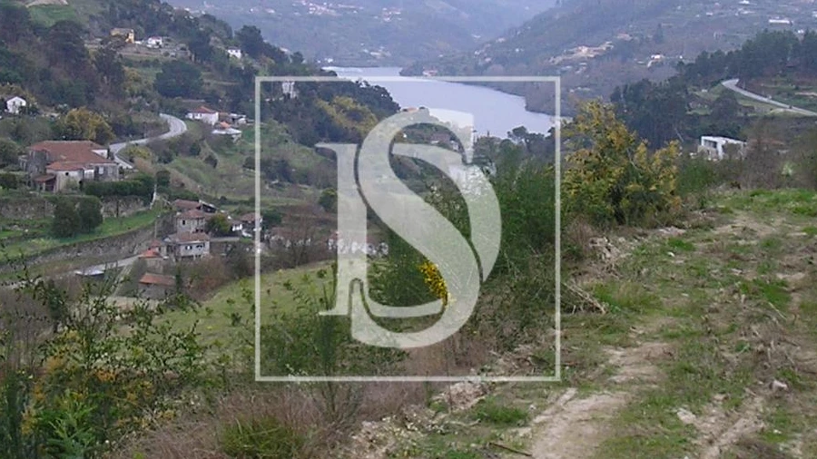 Terreno para Venda em Penhalonga e Paços de Gaiolo