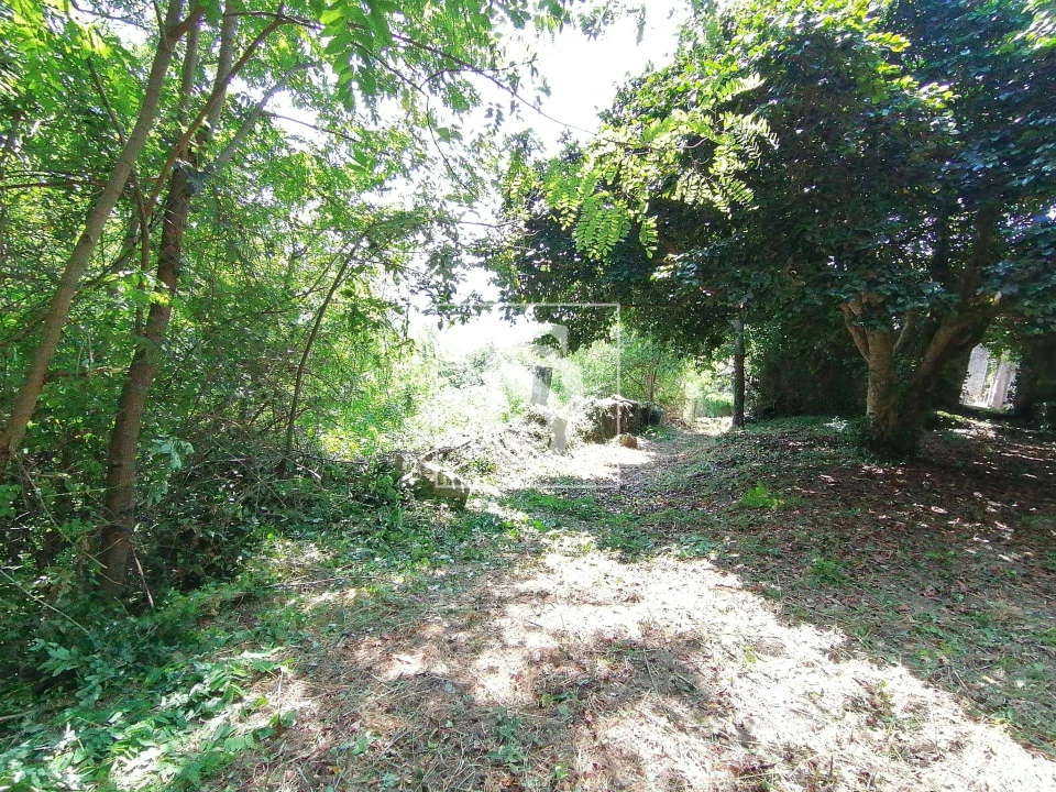 Quinta T0 para Venda em Penhalonga e Paços de Gaiolo Foto 5