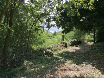 Quinta T0 para Venda em Penhalonga e Paços de Gaiolo