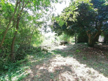 Quinta T0 para Venda em Penhalonga e Paços de Gaiolo