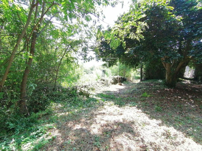 Quinta T0 para Venda em Penhalonga e Paços de Gaiolo Foto 5