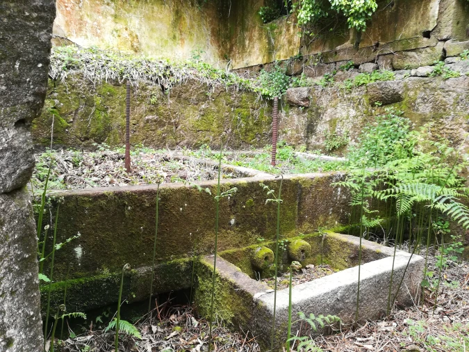 Quinta T0 para Venda em Penhalonga e Paços de Gaiolo Foto 13