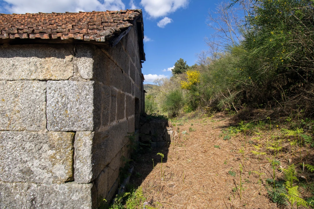 Quinta T0 para Venda em Gestaço Foto 15
