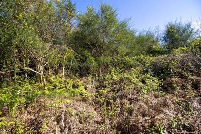 Quinta T0 para Venda em Gestaço