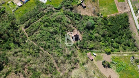 Quinta T0 para Venda em Gestaço