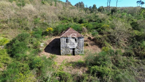 Quinta T0 para Venda em Gestaço