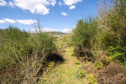 Quinta T0 para Venda em Gestaço