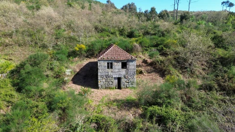 Quinta T0 para Venda em Gestaço