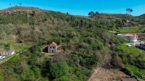 Quinta T0 para Venda em Gestaço