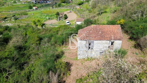 Quinta T0 para Venda em Gestaço