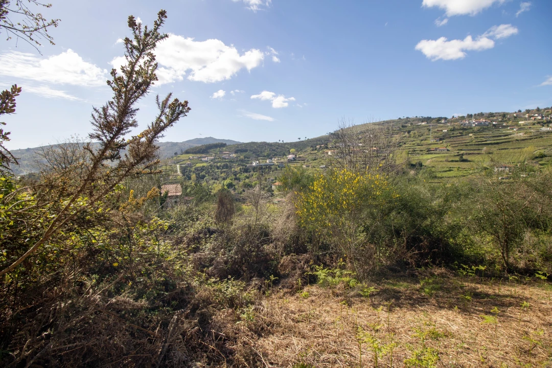 Quinta T0 para Venda em Gestaço Foto 23