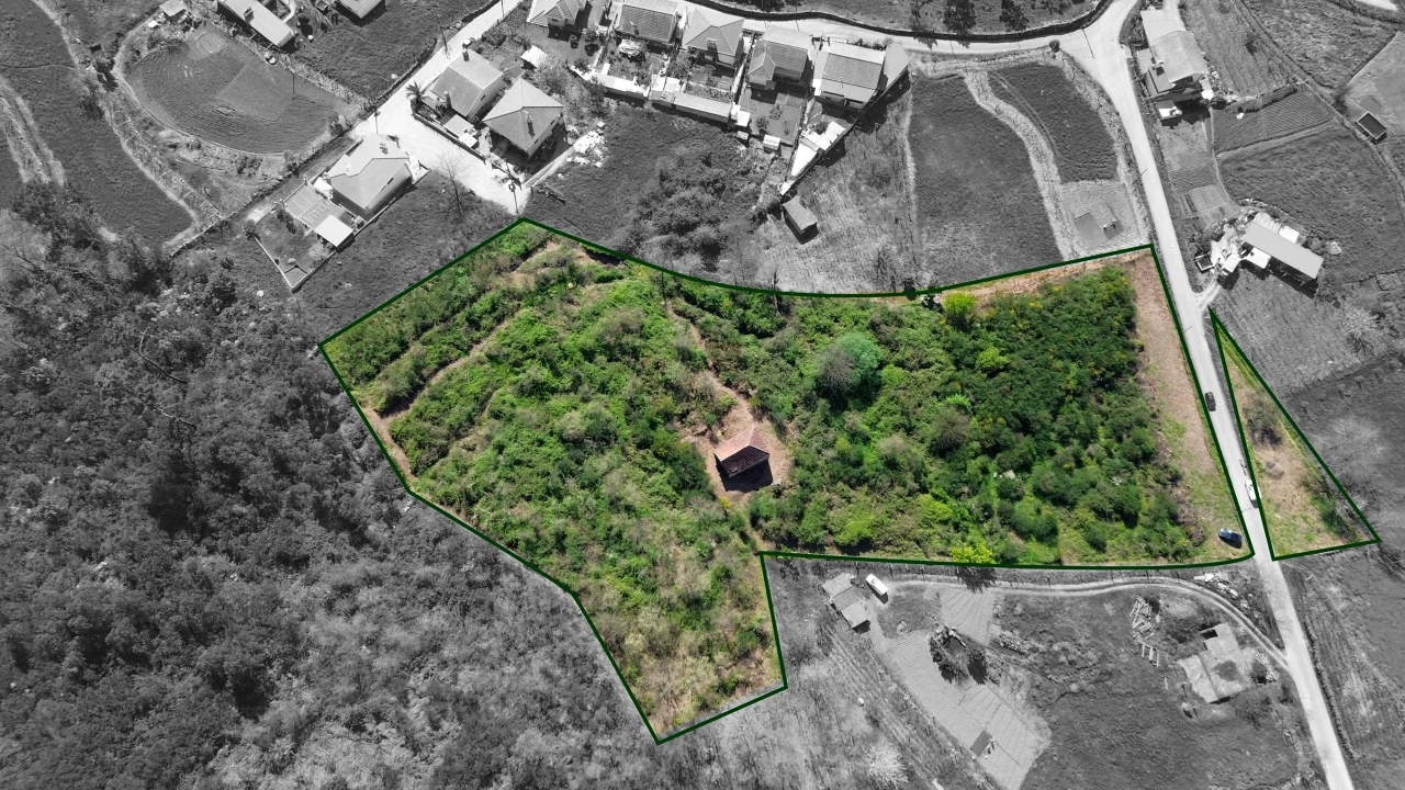 Quinta T0 para Venda em Gestaço Foto 2