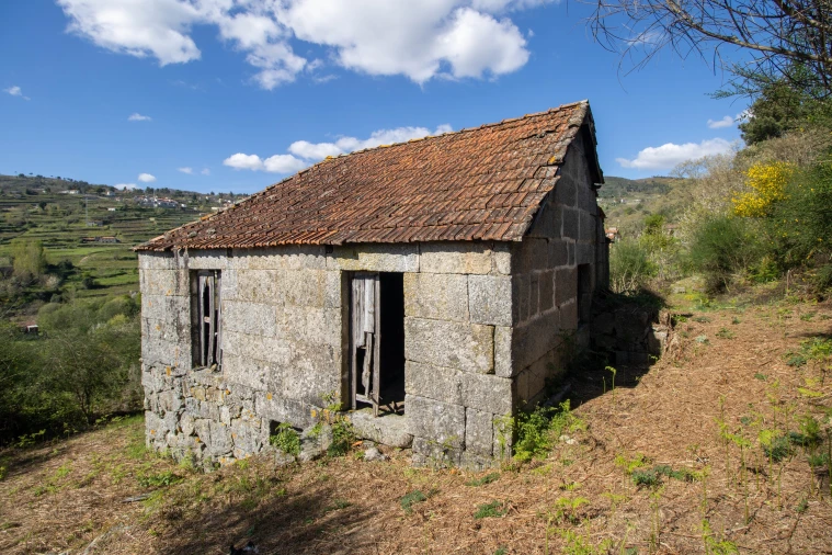 Quinta T0 para Venda em Gestaço Foto 14