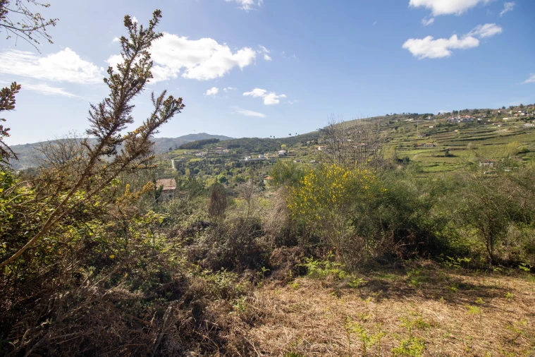 Quinta T0 para Venda em Gestaço Foto 23