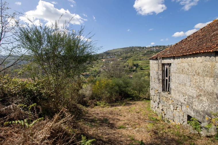 Quinta T0 para Venda em Gestaço Foto 21