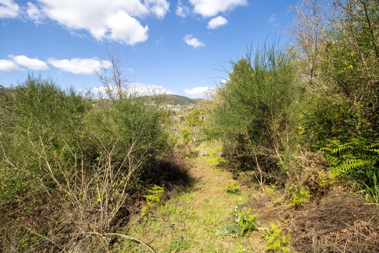 Quinta T0 para Venda em Gestaço Foto 18