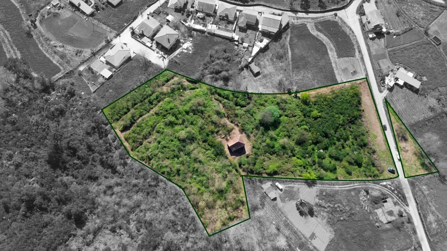 Quinta T0 para Venda em Gestaço Foto 2