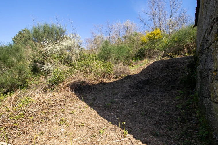 Quinta T0 para Venda em Gestaço Foto 20