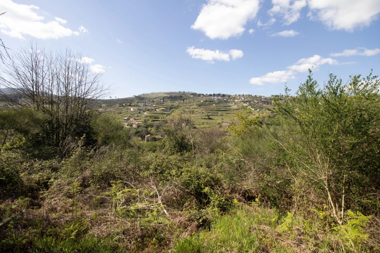 Quinta T0 para Venda em Gestaço Foto 28