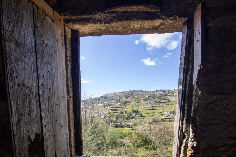 Quinta T0 para Venda em Gestaço Foto 30