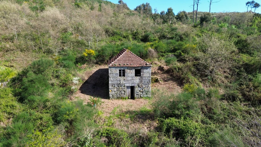 Quinta T0 para Venda em Gestaço Foto 4