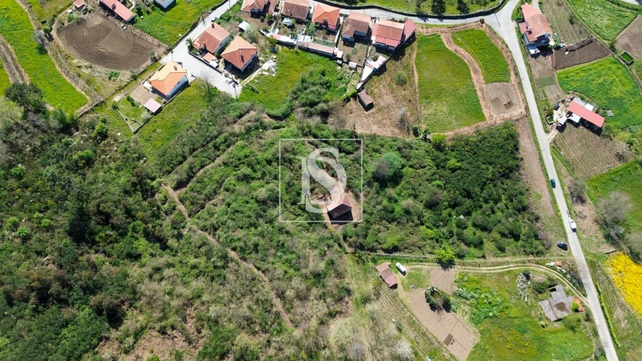Quinta T0 para Venda em Gestaço Foto 25