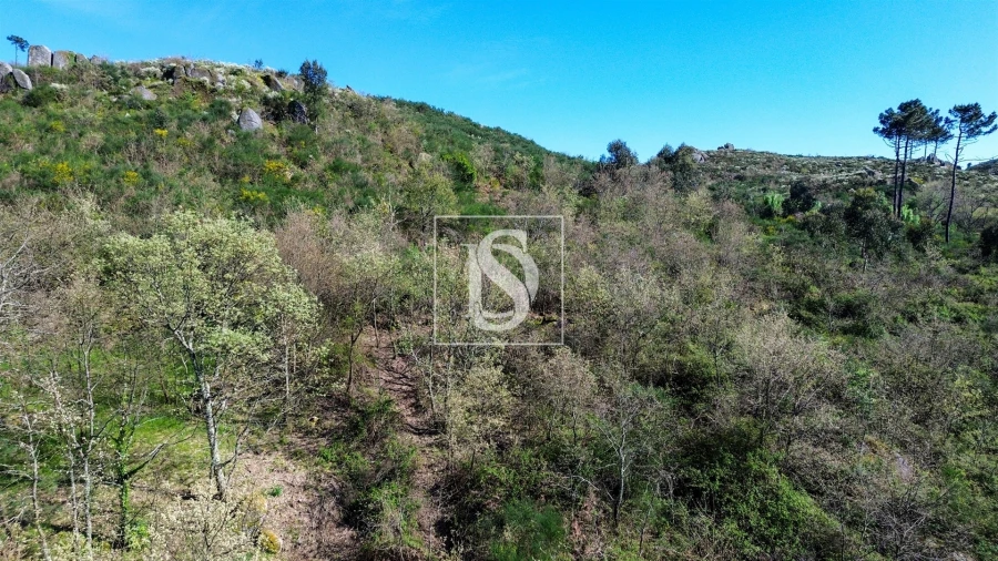 Quinta T0 para Venda em Gestaço Foto 2