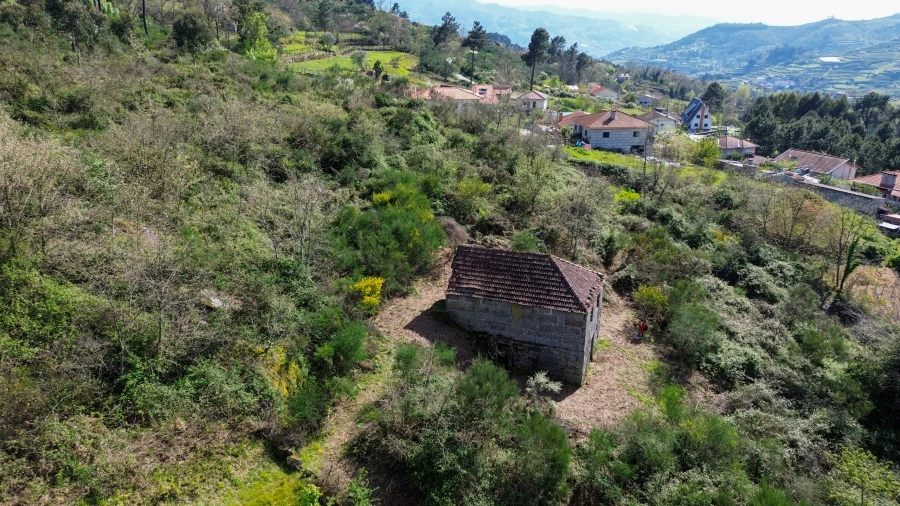 Quinta T0 para Venda em Gestaço Foto 24
