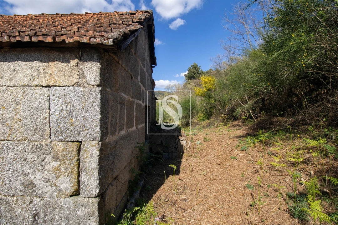 Quinta T0 para Venda em Gestaço Foto 28
