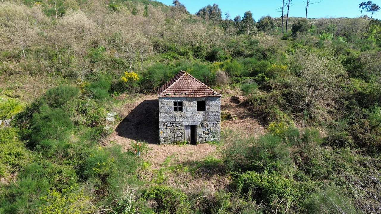 Quinta T0 para Venda em Gestaço Foto 4