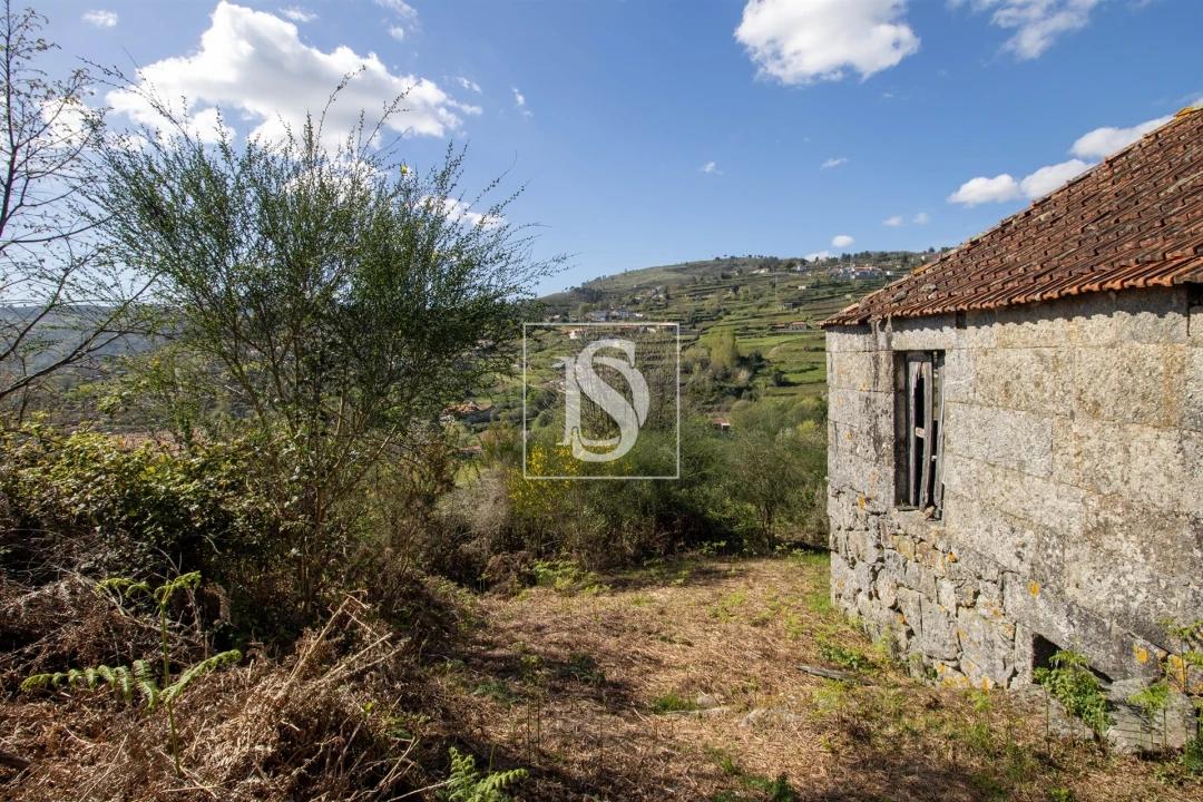 Quinta T0 para Venda em Gestaço Foto 27
