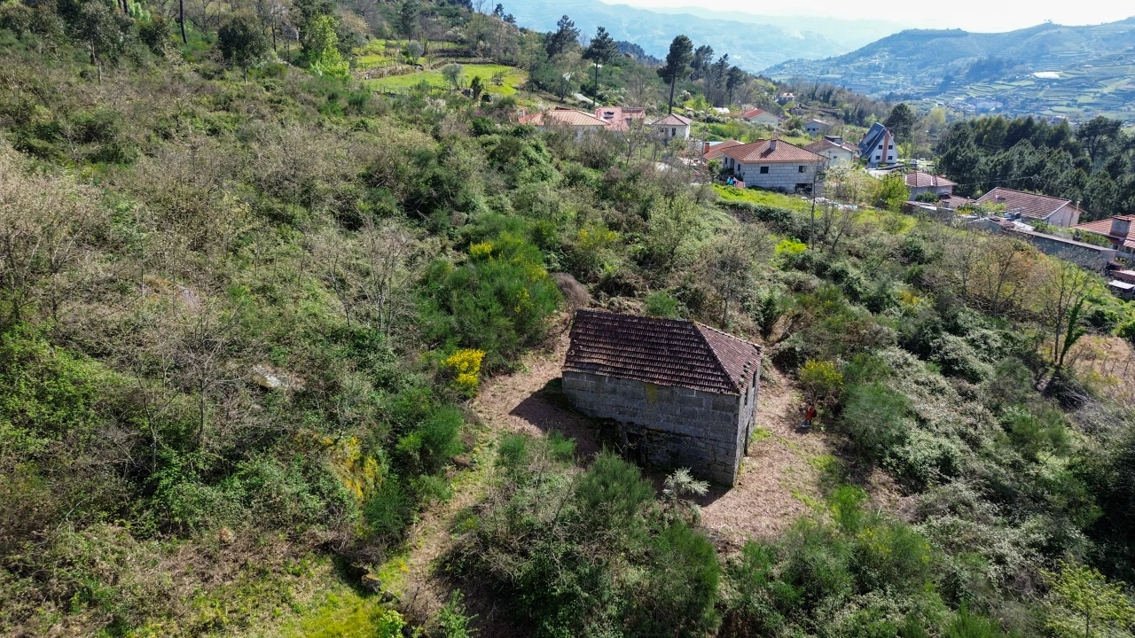 Quinta T0 para Venda em Gestaço Foto 24