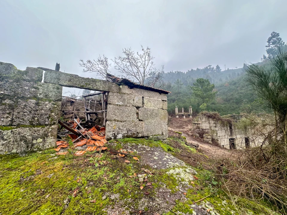 Quinta T0 para Venda em Bustelo, Carneiro e Carvalho de Rei Foto 11