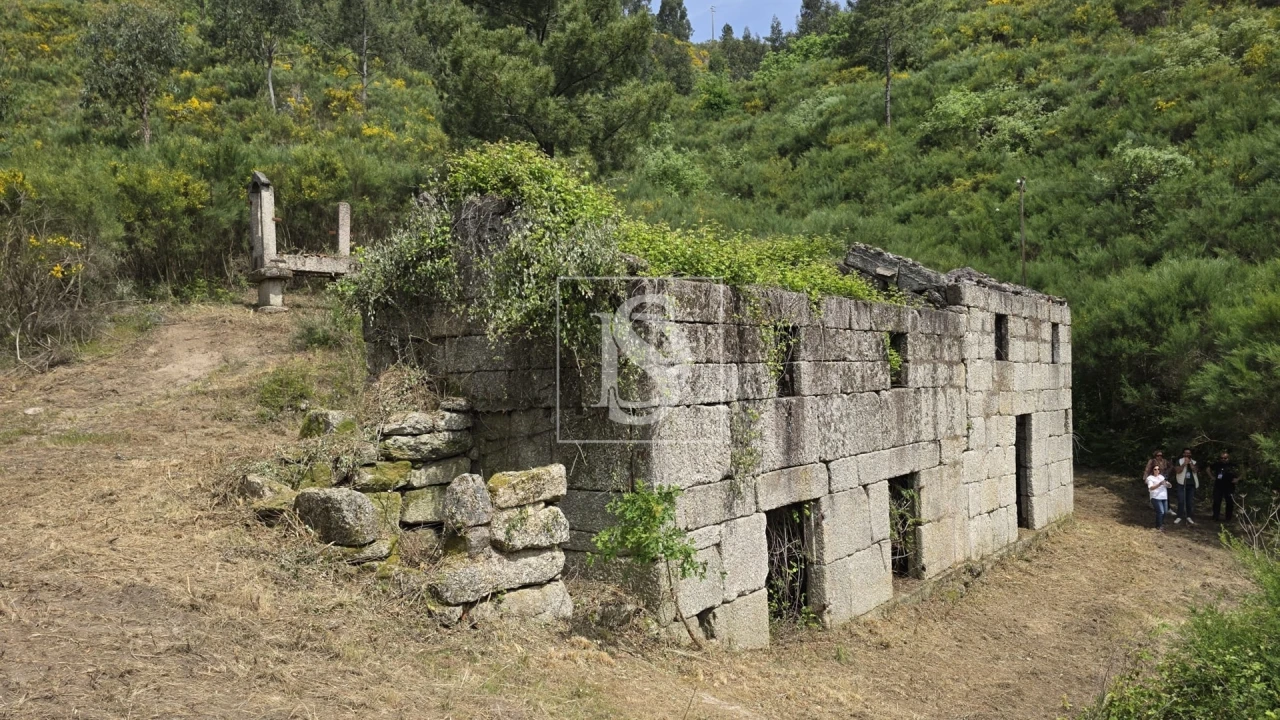 Quinta T0 para Venda em Bustelo, Carneiro e Carvalho de Rei Foto 2