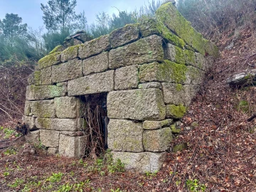 Quinta T0 para Venda em Bustelo, Carneiro e Carvalho de Rei