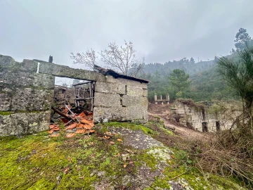 Quinta T0 para Venda em Bustelo, Carneiro e Carvalho de Rei