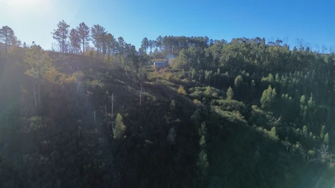 Quinta T0 para Venda em Bustelo, Carneiro e Carvalho de Rei
