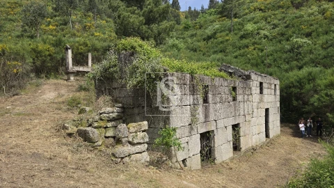 Quinta T0 para Venda em Bustelo, Carneiro e Carvalho de Rei