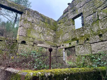 Quinta T0 para Venda em Bustelo, Carneiro e Carvalho de Rei