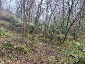 Quinta T0 para Venda em Bustelo, Carneiro e Carvalho de Rei