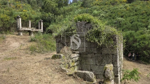 Quinta T0 para Venda em Bustelo, Carneiro e Carvalho de Rei