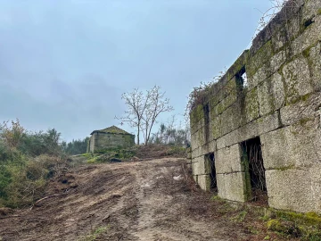 Quinta T0 para Venda em Bustelo, Carneiro e Carvalho de Rei